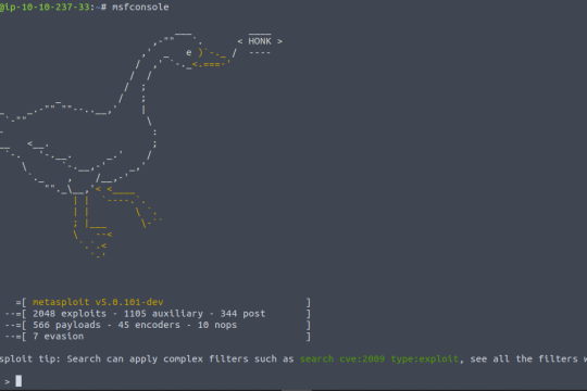 Persistent Reverse Shell with Metasploit in Kali Linux