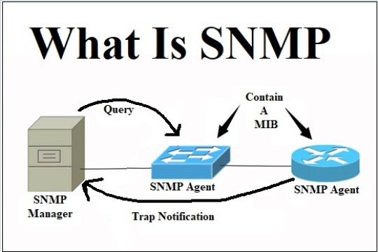 SNMP Enumeration